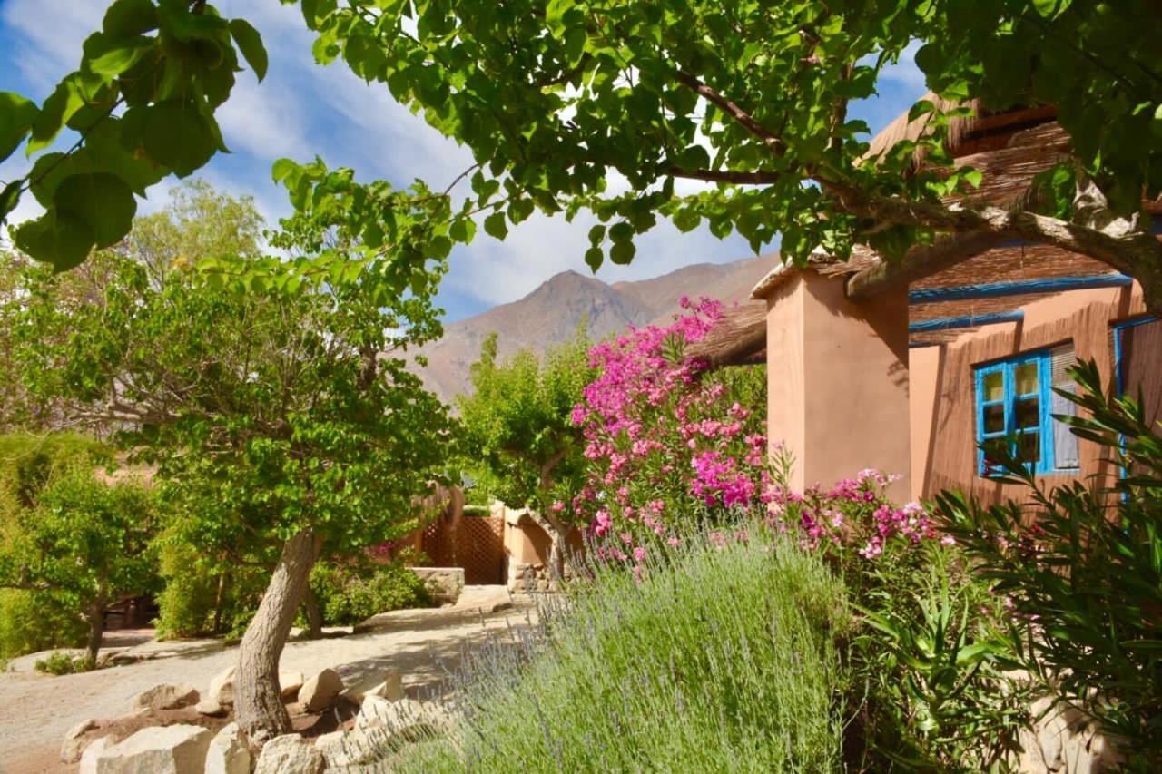 Bed and Breakfast Refugio Misterios Del Elqui Писко-Эльки Экстерьер фото