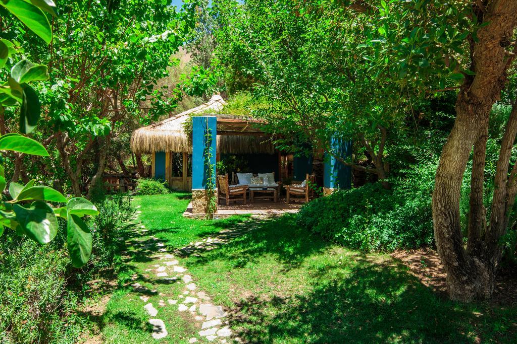 Bed and Breakfast Refugio Misterios Del Elqui Писко-Эльки Экстерьер фото